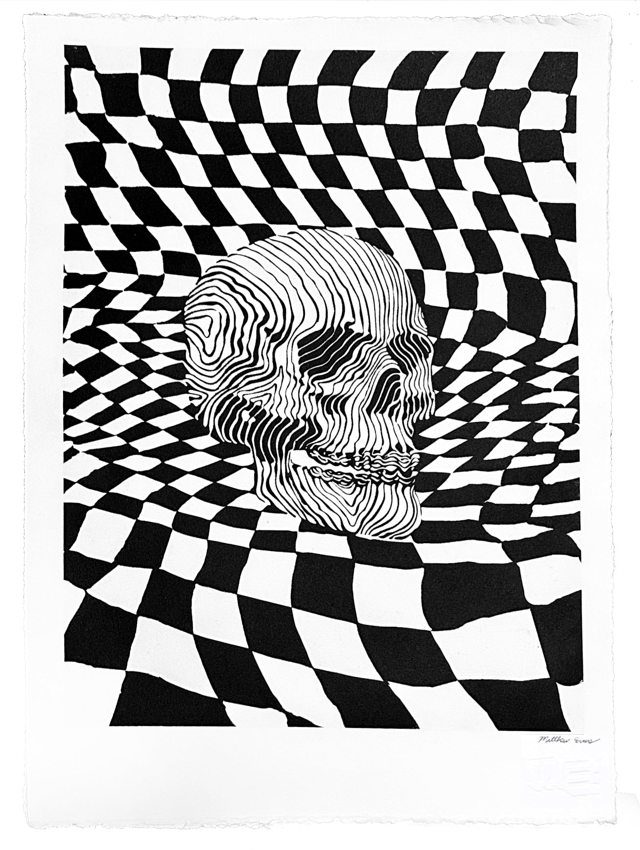 Glow in the Dark Liquid Zebra Skull Checkerboard Warp Poster